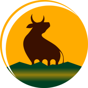 BOER SE MARK - Logo ICON - PNG 2024, designed by Mariska Wiese at Glixie Media