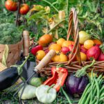 BOER SE MARK - PRODUCE 1, LIST BUY AND SELL ONLINE