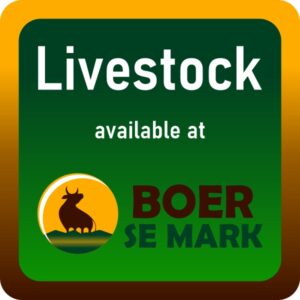 Livestock