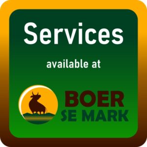Services
